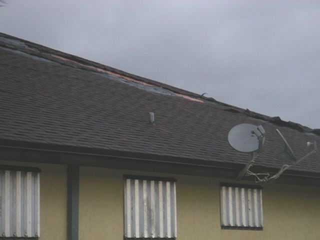 Image - PICT0002.JPG