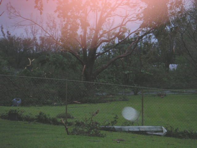 Image - PICT0003.JPG