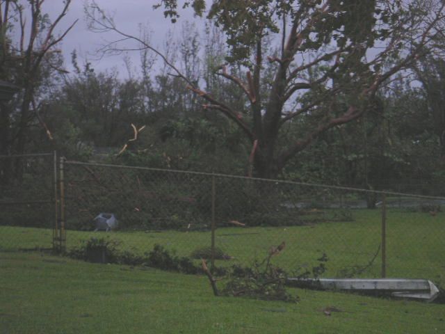 Image - PICT0004.JPG