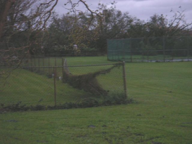 Image - PICT0005.JPG