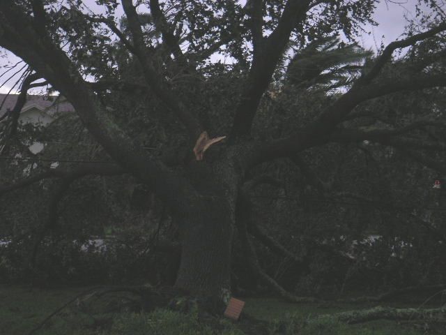 Image - PICT0006.JPG