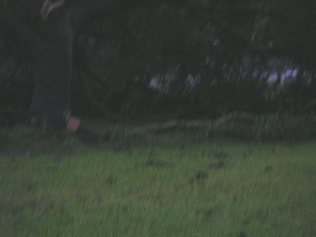 Image - PICT0007.JPG
