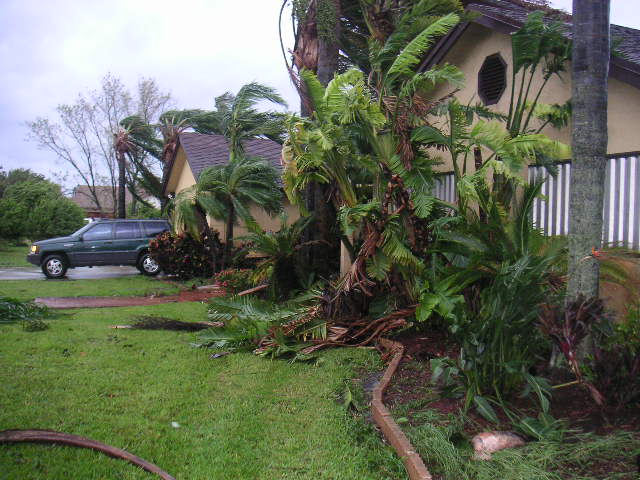 Image - PICT0008.JPG