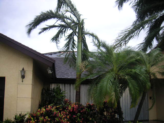 Image - PICT0011.JPG