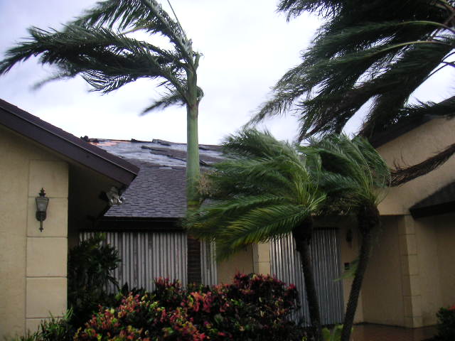 Image - PICT0012.JPG