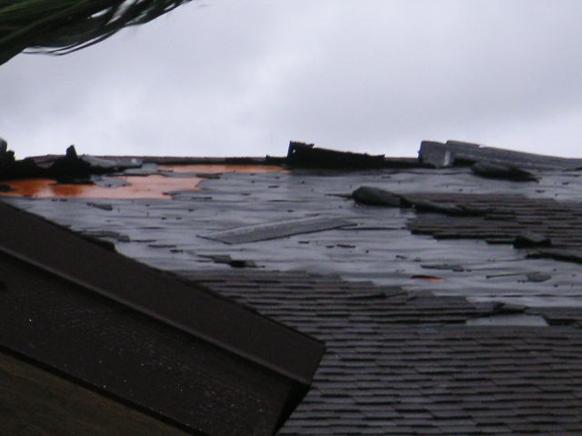 Image - PICT0013.JPG