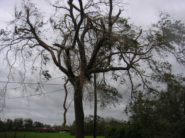 Image - PICT0014.JPG