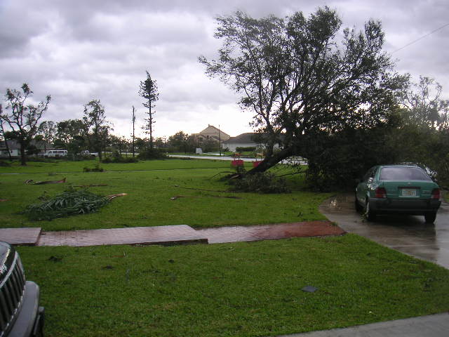 Image - PICT0016.JPG