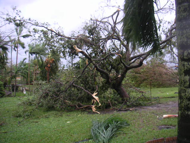 Image - PICT0017.JPG