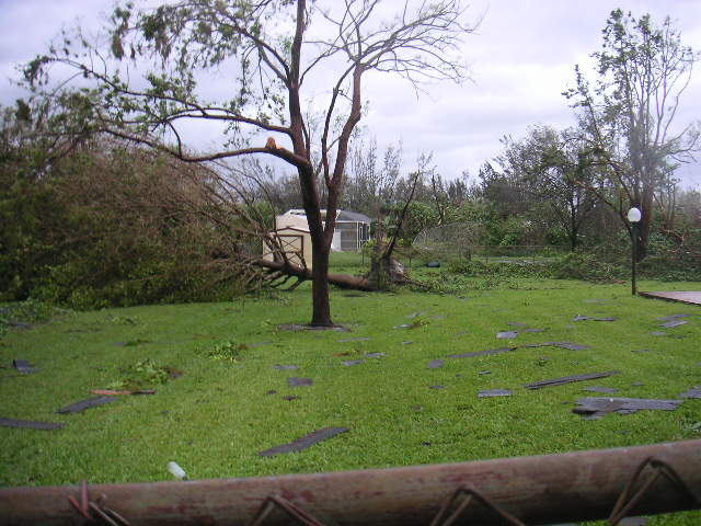 Image - PICT0019.JPG