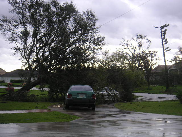 Image - PICT0021.JPG