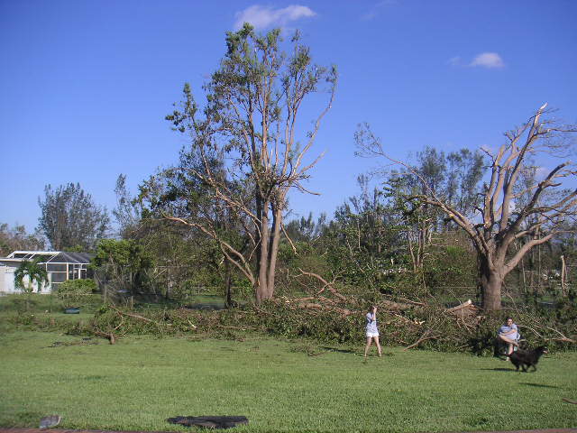 Image - PICT0022.JPG