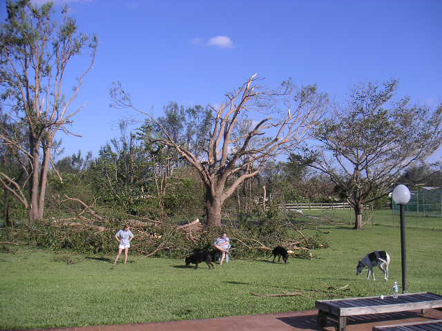 Image - PICT0023.JPG