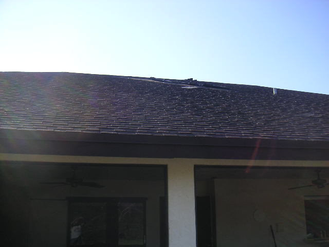 Image - PICT0024.JPG