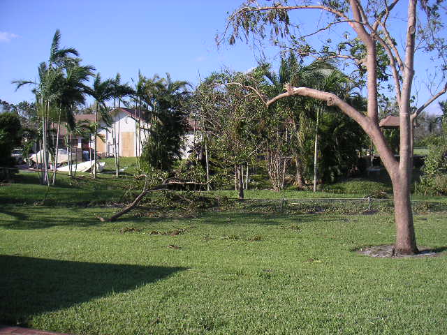 Image - PICT0026.JPG