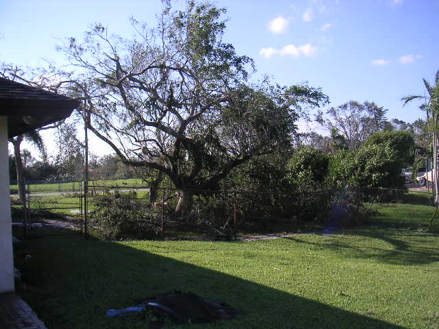 Image - PICT0027.JPG