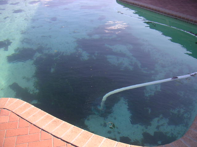 Image - PICT0028.JPG