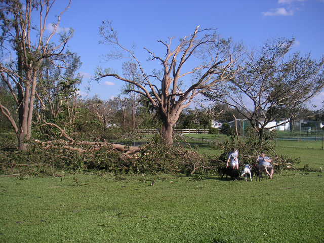 Image - PICT0029.JPG