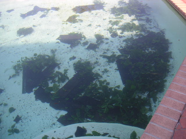 Image - PICT0035.JPG