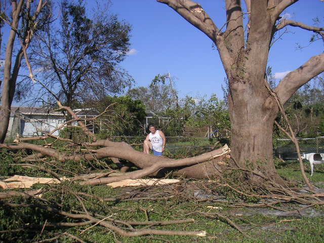 Image - PICT0036.JPG