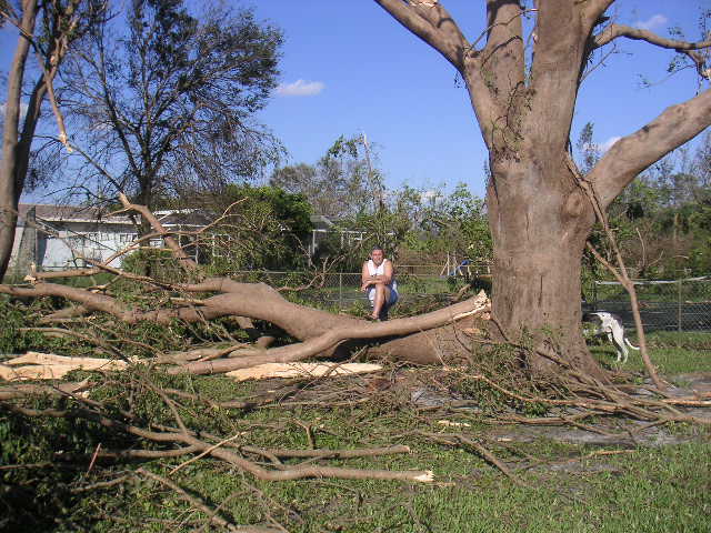 Image - PICT0037.JPG