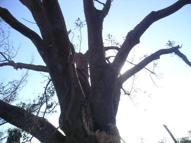 Image - PICT0038.JPG