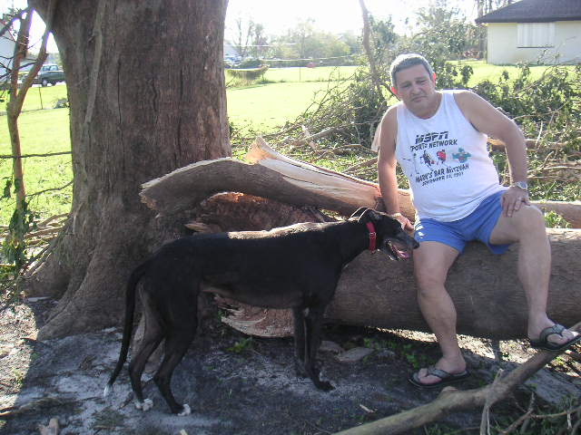 Image - PICT0040.JPG