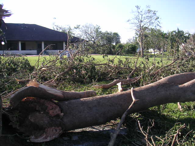 Image - PICT0042.JPG
