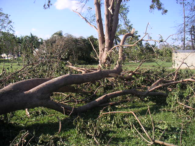 Image - PICT0043.JPG