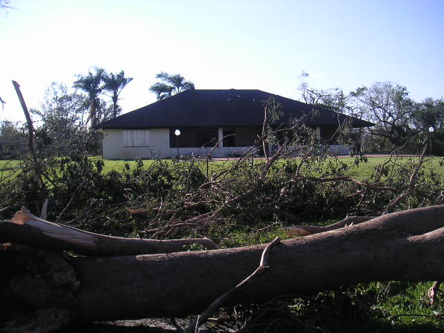 Image - PICT0044.JPG