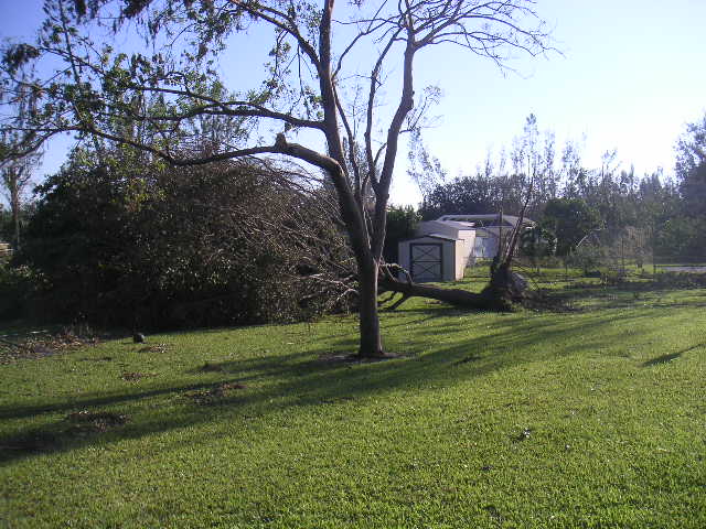 Image - PICT0045.JPG