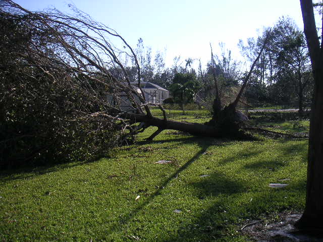 Image - PICT0047.JPG