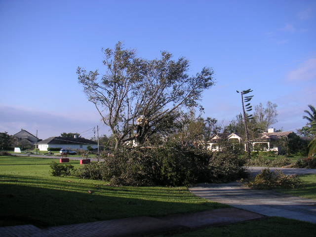 Image - PICT0048.JPG