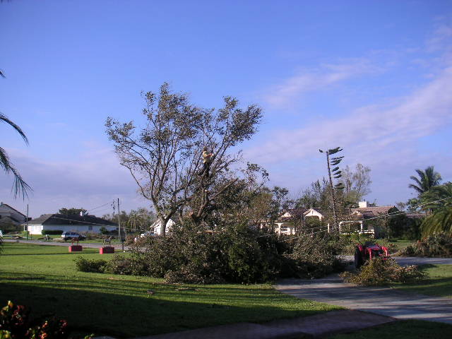Image - PICT0051.JPG
