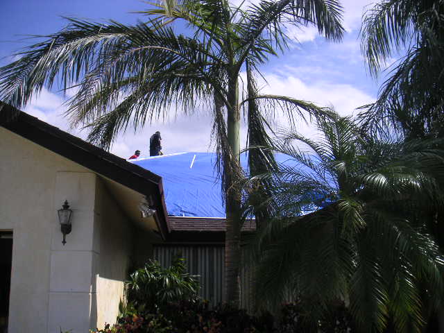 Image - PICT0130.JPG