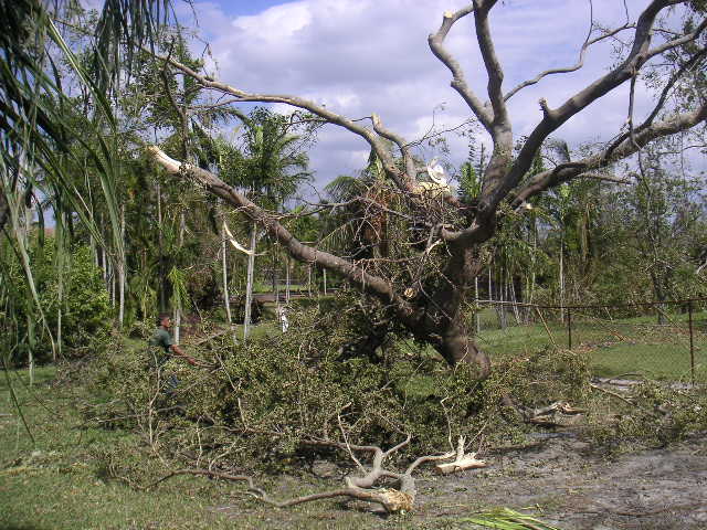 Image - PICT0133.JPG