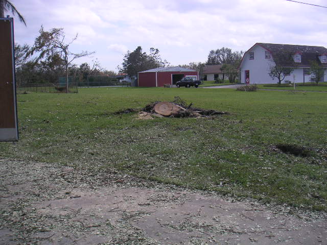 Image - PICT0137.JPG