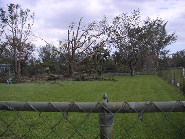 Image - PICT0142.JPG