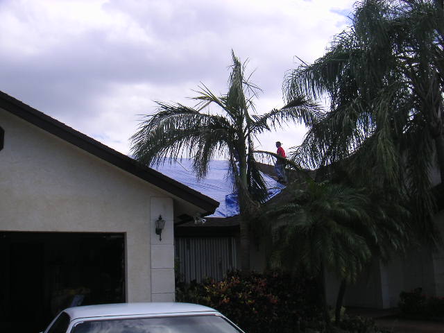 Image - PICT0146.JPG