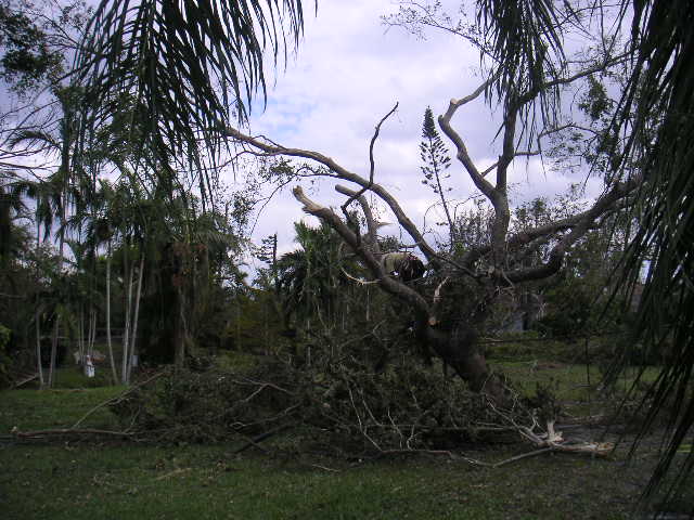 Image - PICT0149.JPG