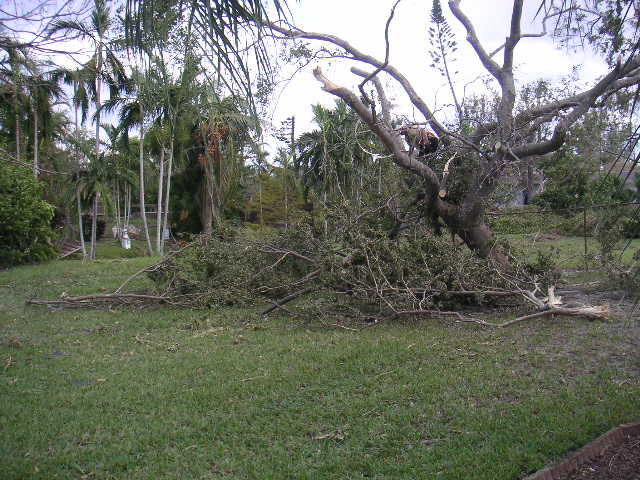 Image - PICT0150.JPG