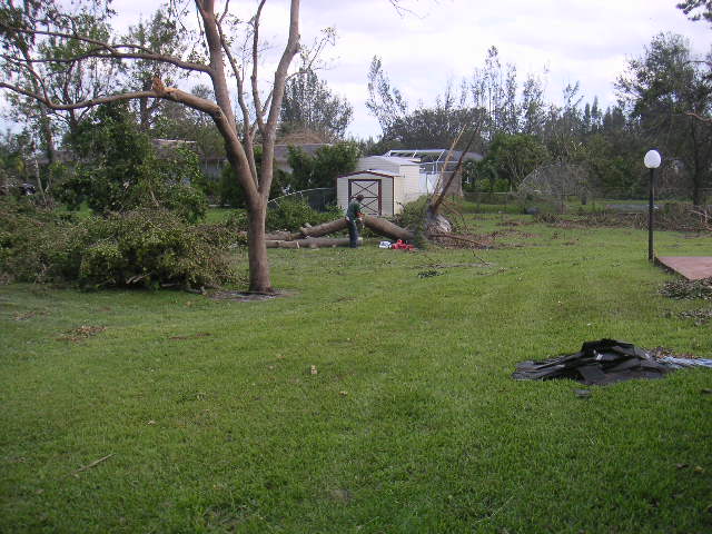 Image - PICT0151.JPG