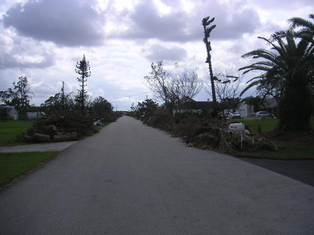 Image - PICT0156.JPG