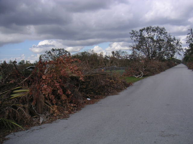Image - PICT0158.JPG