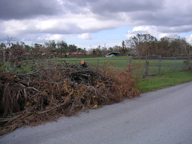 Image - PICT0162.JPG